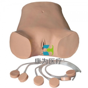 “康為醫(yī)療”高級(jí)電子腹腔穿刺訓(xùn)練標(biāo)準(zhǔn)化模擬病人,腹腔穿刺訓(xùn)練模型