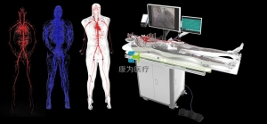 全身人體動(dòng)靜脈血管模型,動(dòng)靜脈血管及骨骼模擬系統(tǒng)