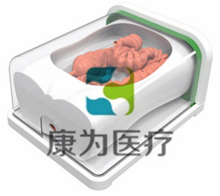 腸鏡手術(shù)訓練模擬器